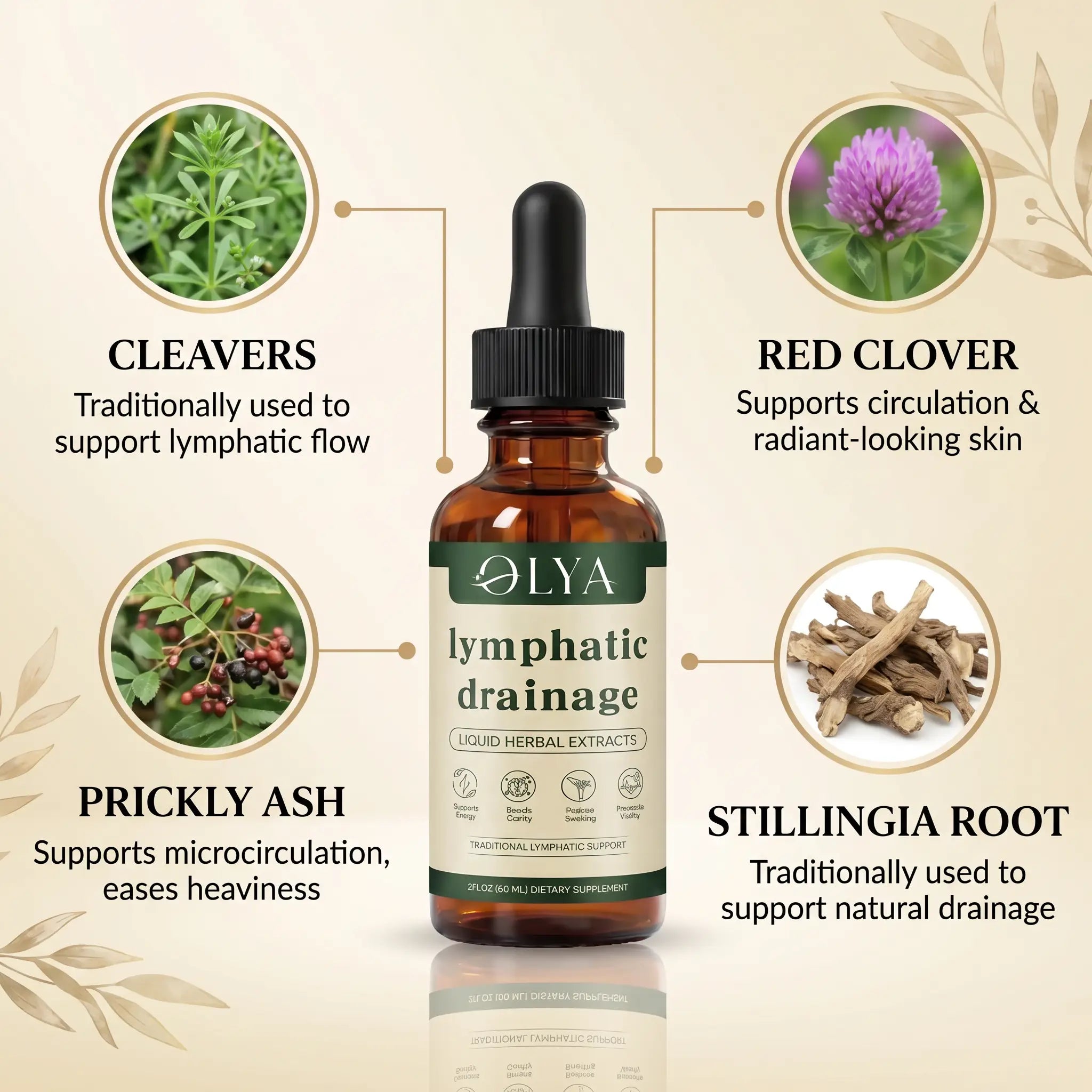 Lymphatic Drainage Elixir Olya™